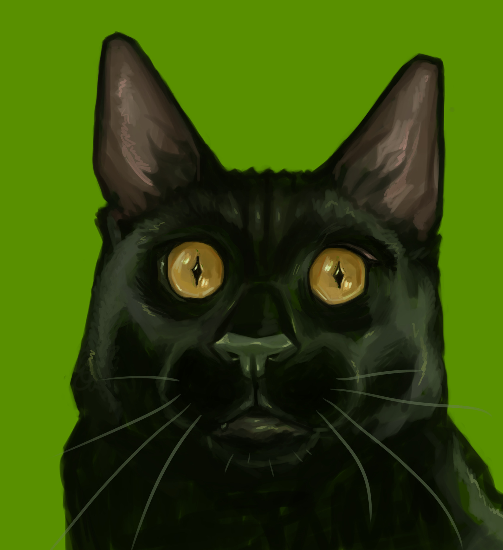 Digital painting of my cat Cowboy on a bright green background close up. He is a black cat with big ears and round eyesand a big snout. His golden eyes are very wide.