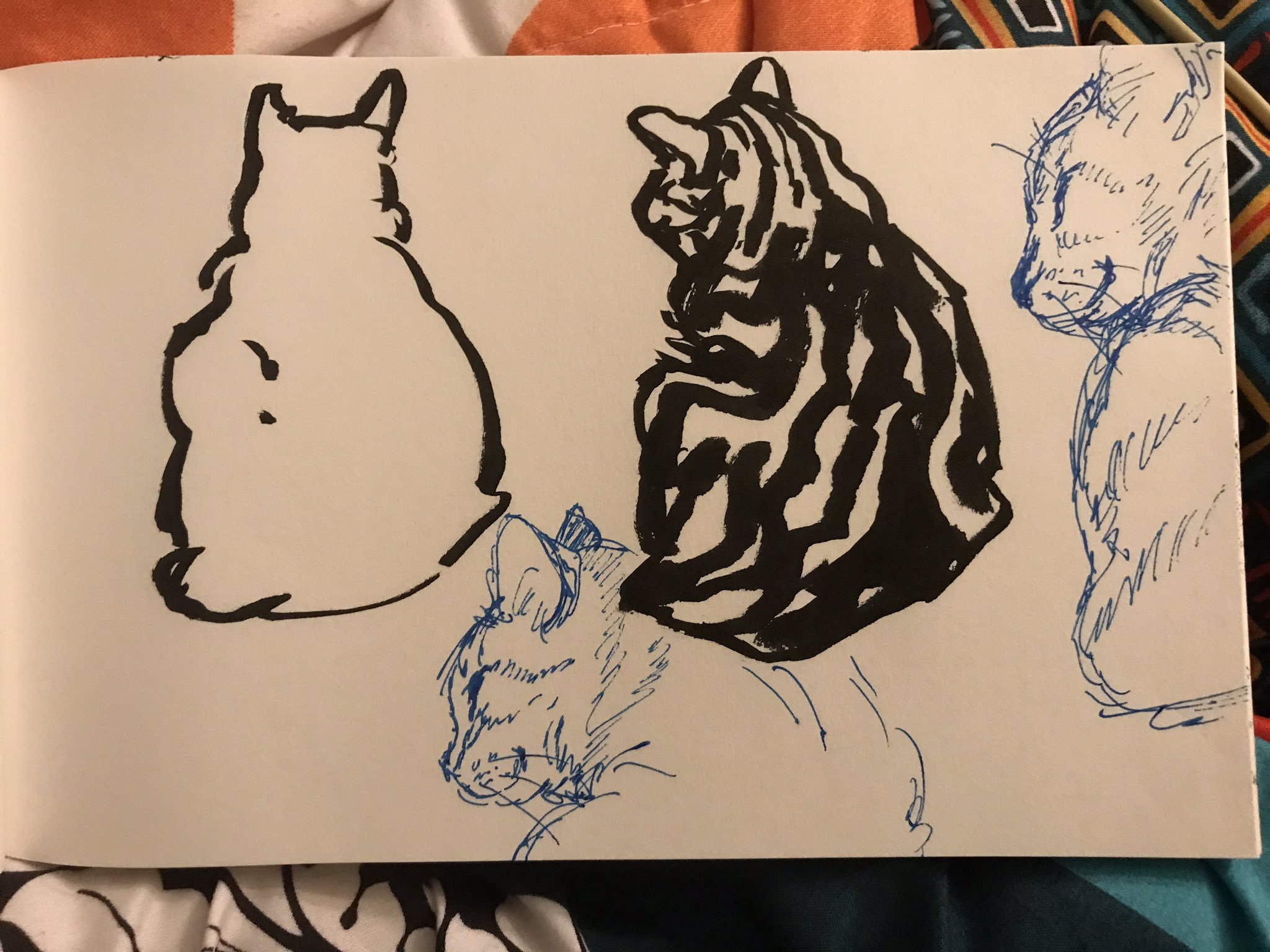 Photo of a sketchbook page with two drawings of my cat Sailor napping on it