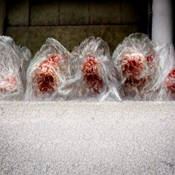 AI generated image of a line of red bloody heads wrapped in plastic lined up under an overpass