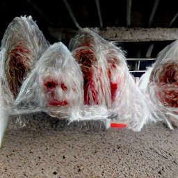 AI generated image of giant heads draped in plastic tarps under an overpass