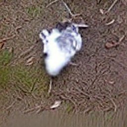 AI generated image of some sort of blurry photo of a creature on the ground that looks like a lump similar to a bird with white and grey feathers.