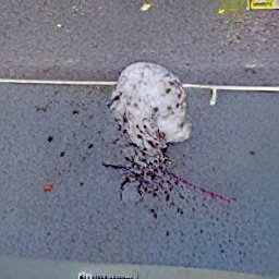 AI generated image of a photo of the road, with some sort of creature that looks like a sea creature that exploded after being taken out of the pressure of the deep sea, maybe some kind of squid or octopus, and was left on the road