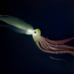 AI generated image of a giant squid underwater