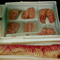 AI generated image what looks like organs in a cooler