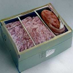 AI generated image of a box with three compartments, two full of what looks like ground beef, the last full of some sort of organ