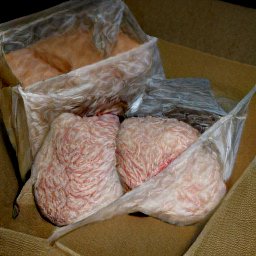AI generated image of cardboard boxes with what looks like plastic bags of brains in them