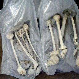 AI generated image of two white plastic bags with bones lying on them