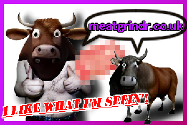 An ad for meatgrindr.co.uk with a 3d minotaur with googly eyes, and a 3D bull as well as a pixelated meat next to them and the text 'I like what I'm seein'!'