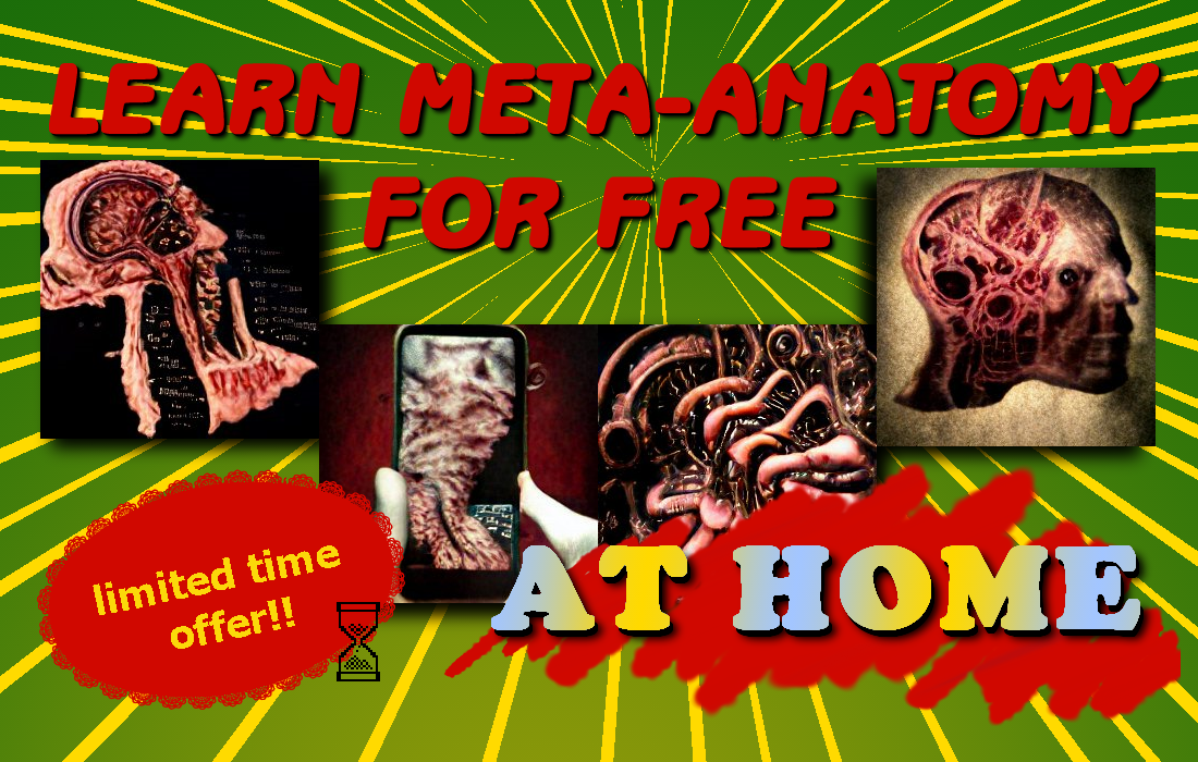 Learn Meta-Anatomy for free at home!