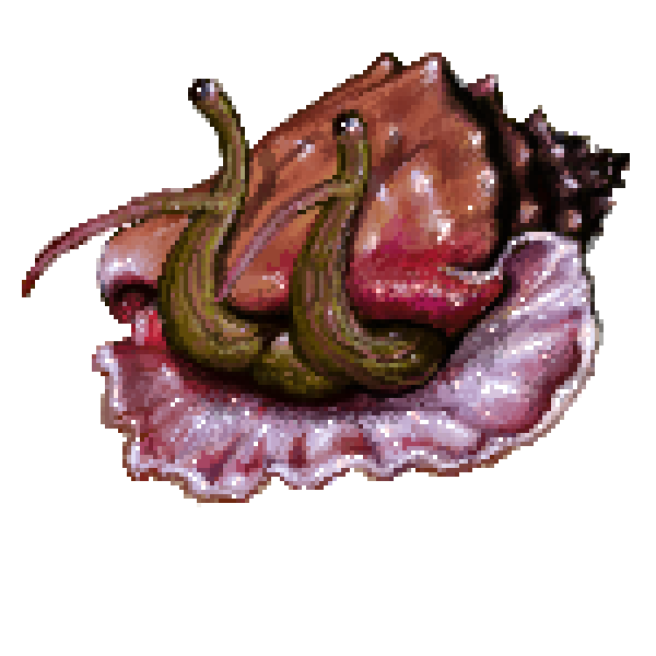 A pixel drawing of a conch shell with a conch peeking its eye stalks out